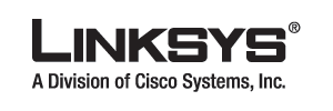 Linksys Partner